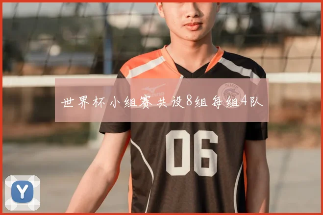 世界杯小组赛共设8组每组4队