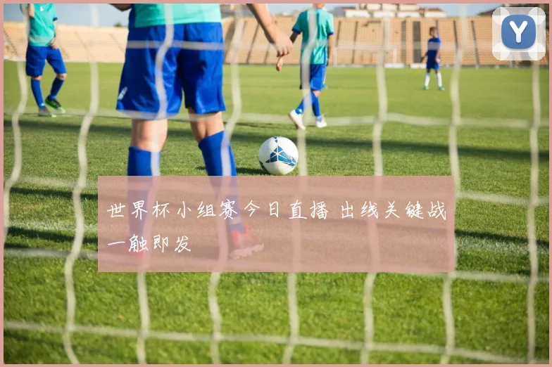 世界杯小组赛今日直播 出线关键战一触即发