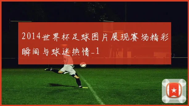 2014世界杯足球图片展现赛场精彩瞬间与球迷热情_1