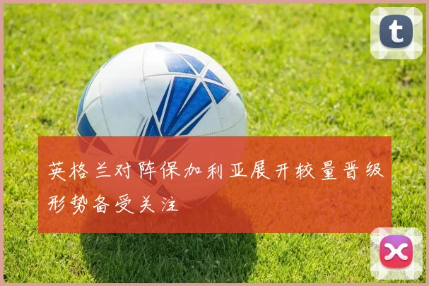 英格兰对阵保加利亚展开较量晋级形势备受关注