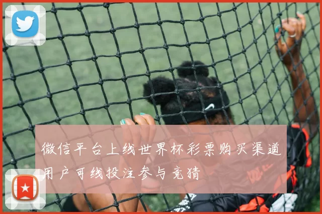 微信平台上线世界杯彩票购买渠道用户可线投注参与竞猜