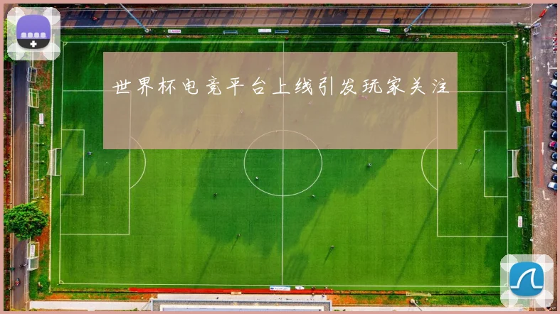 世界杯电竞平台上线引发玩家关注