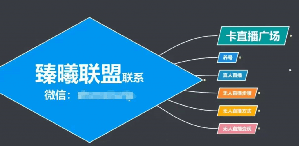 图片[1]-臻曦联盟，最新无人直播万人在线技术理原及详细操作步骤解析（视频教程）-淘金部落