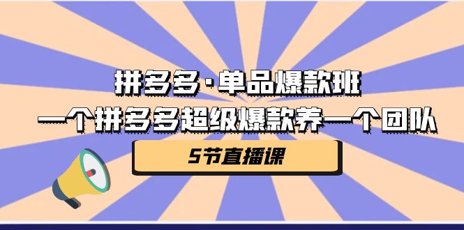 图片[1]-拼多多·单品爆款班，一个拼多多超级爆款养一个团队（5节直播课）-淘金部落