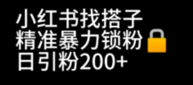 小红书找搭子暴力精准锁粉 引流日引200 精准粉