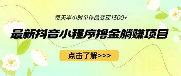 最新抖音小程序撸金躺赚项目，一部手机每天半小时，单个作品变现1300 【揭秘】