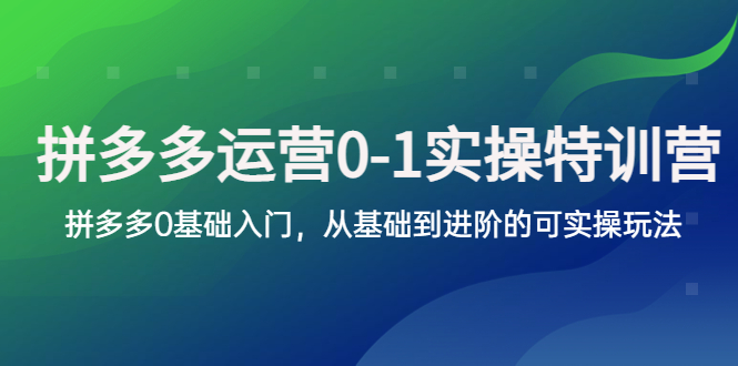 拼多多-运营0-1实操训练营，拼多多0基础入门，从基础到进阶的可实操玩法