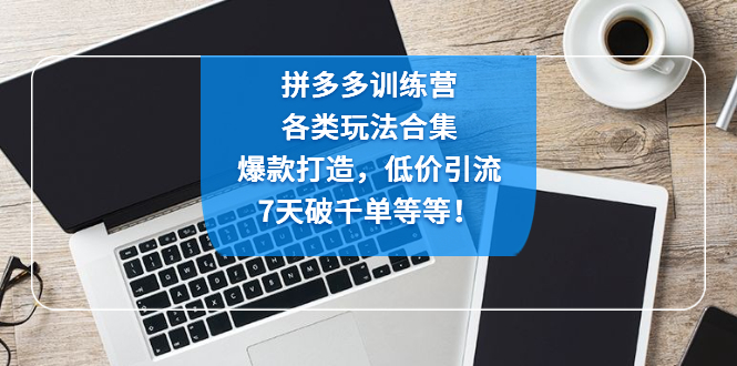 拼多多训练营：各玩法合集，爆款打造，低价引流，7天破千单等等！