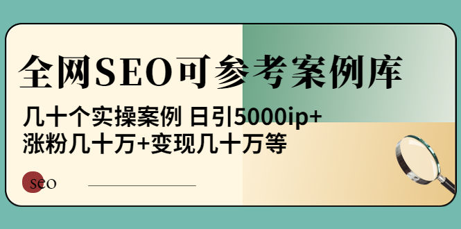 《全网SEO可参考案例库》几十个实操案例 日引5000ip+涨粉百W+变现几十W等!