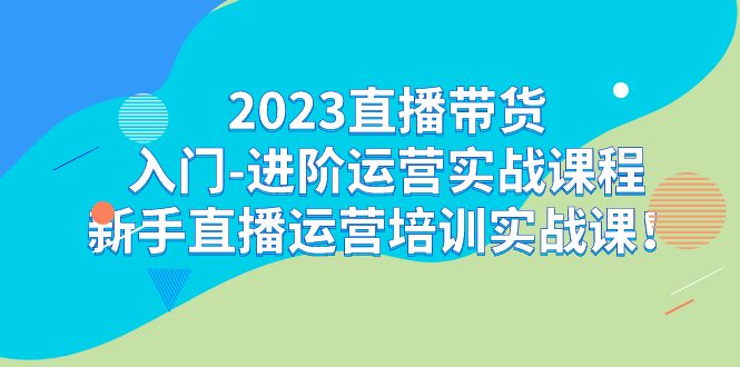 图片[1]-2023直播带货新手进阶实战课程：轻松学习直播运营技巧！-淘金部落