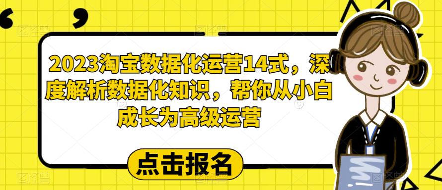 图片[1]-2023淘宝数据化-运营 14式，深度解析数据化知识，帮你从小白成长为高级运营-淘金部落