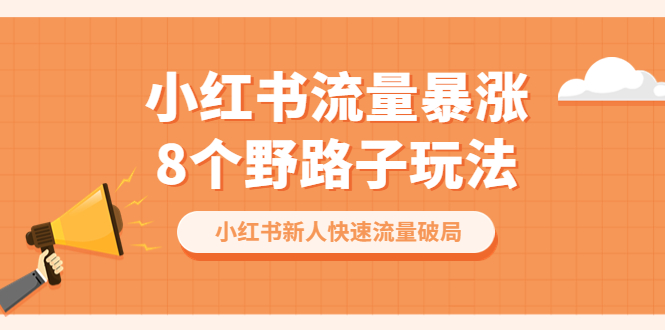 图片[1]-小红书流量-暴涨8个野路子玩法：小红书新人快速流量破局（8节课）-淘金部落