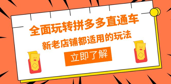 图片[1]-全面玩转拼多多直通车，新老店铺都适用的玩法（12节精华课）-淘金部落