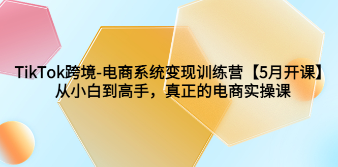 图片[1]-TikTok电商跨境变现实操课程，从小白到高手一步搭建自己的电商帝国-淘金部落