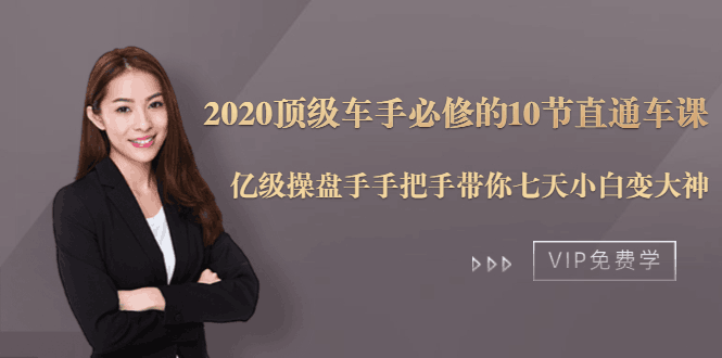 图片[1]-2020顶级车手必修的10节直通车课：亿级操盘手手把手带你七天小白变大神-淘金部落