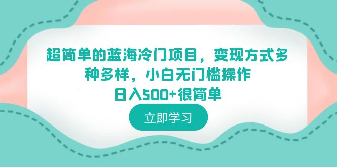 图片[1]-超简单蓝海冷门项目，小白0基础操作日入500+，多种变现方式助你轻松成功！-淘金部落