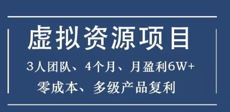 图片[1]-虚拟资源实战项目（暴疯团队VIP），3人团队，4个月，月盈利6W+，高客单价、多产品复利-淘金部落