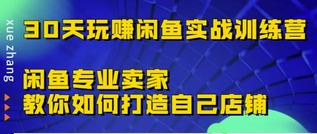 30天玩赚闲鱼实战训练营，闲鱼专业卖家教你如何打造自己店铺