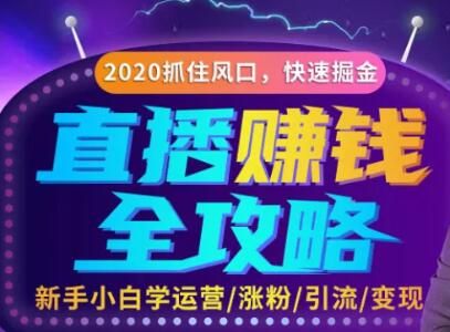 图片[1]-直播赚钱攻略，教你涨粉/引流/带货/变现，轻松月入10万+！-淘金部落