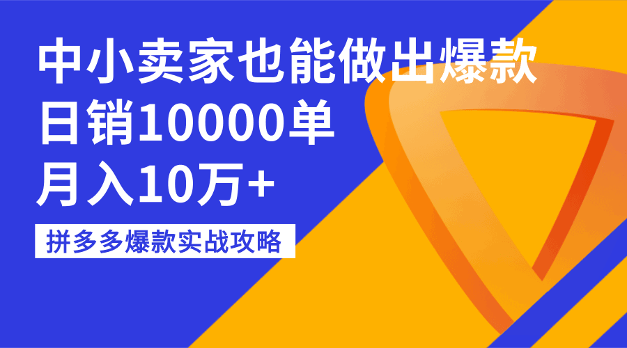 图片[1]-拼多多爆款实战攻略：中小卖家也能做出爆款，日销10000单，月入10万+-淘金部落