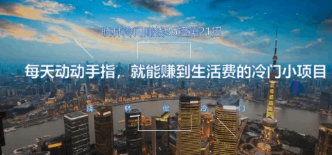 晓林冷门赚钱36招第21招每天动动手指，就能赚到生活费的冷门小项目【视频课程】