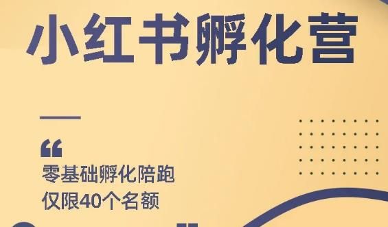 勇哥小红书撸金快速起量项目：教你怎样迅速起号获得曝光，每个月躺赚在 3千以上