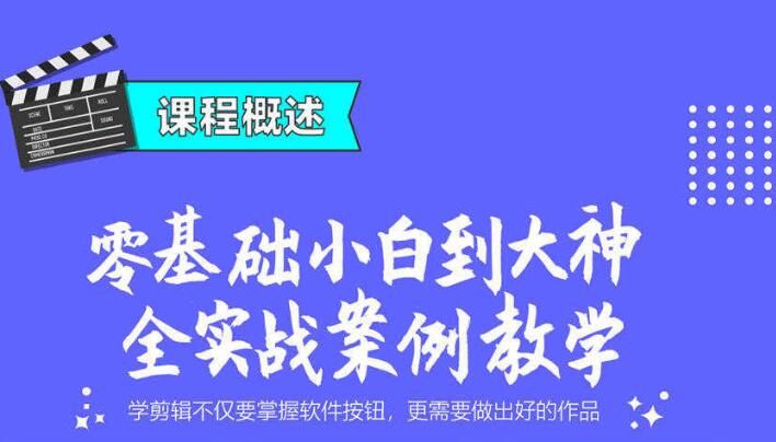 图片[1]-PR抖音B站影视混剪视频教程 premiere剪辑电影课程-淘金部落