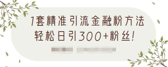 1套精准引流金融粉方法，轻松日引300+粉丝【视频课程】