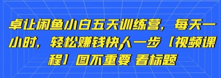 卓让闲鱼课程：小白五天训练营，每天一小时，轻松赚钱快人一步【视频教程】