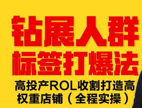 实战开店教学：钻展人群标签打爆技术，高投产ROL收割打造高权重店铺