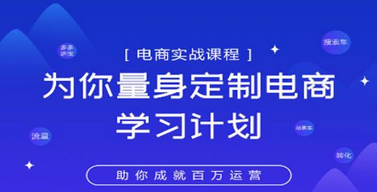 图片[1]-淘宝运营实战宝典鑫老板电商精品小课，为你量身定制电商学习计划-淘金部落