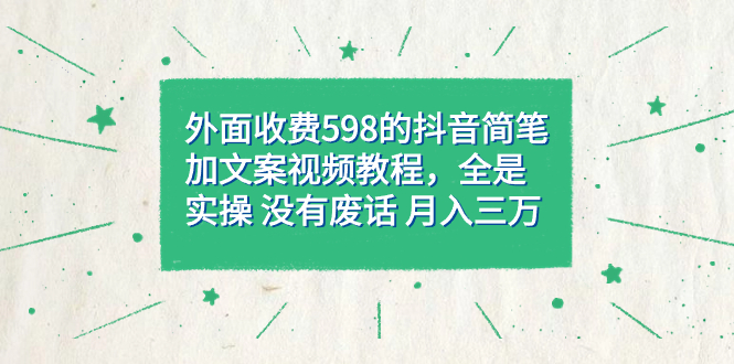 图片[1]-外面收费598抖音简笔加文案教程，全是实操 没有废话 月入三万（教程+资料）-淘金部落