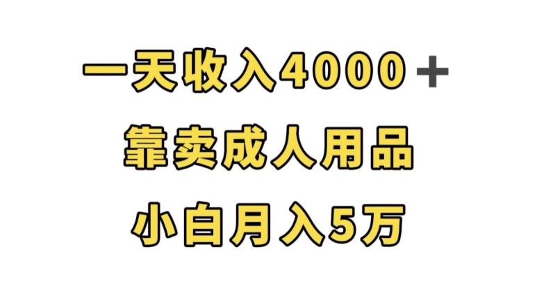 一天收入4000 ，靠卖成ren用品，小白轻松月入5万【揭秘】