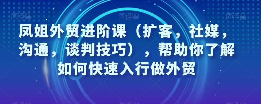 图片[1]-凤姐外贸进阶课（扩客，社媒，沟通，谈判技巧），帮助你了解如何快速入行做外贸-淘金部落