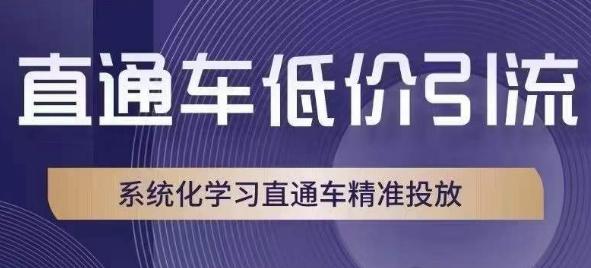 图片[1]-直通车低价引流教程，系统化学习直通车精准投放-淘金部落