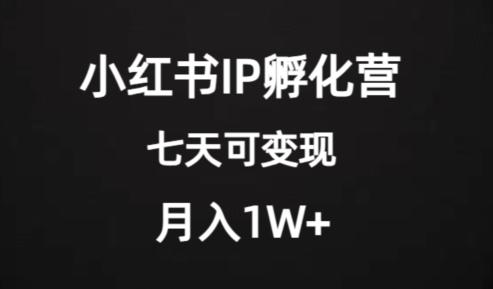 图片[1]-价值2000+的小红书IP孵化营项目，超级大蓝海，七天即可开始变现，稳定月入1W+-淘金部落