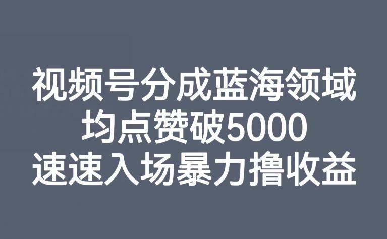 图片[1]-视频号分成蓝海领域，均点赞破5000，速速入场暴力撸收益-淘金部落