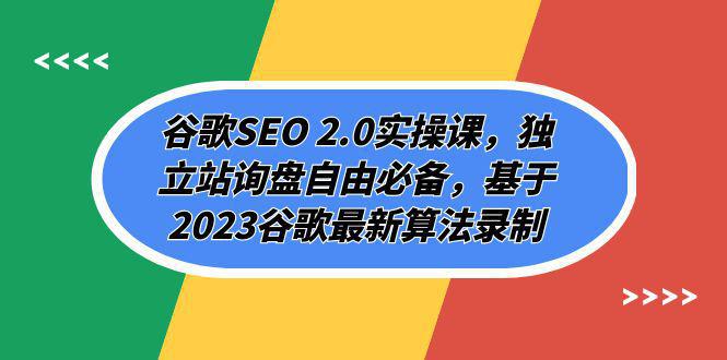 图片[1]-2023谷歌SEO 2.0实操全攻略：独立站询盘自由必备，谷歌最新算法解析（94节）-淘金部落