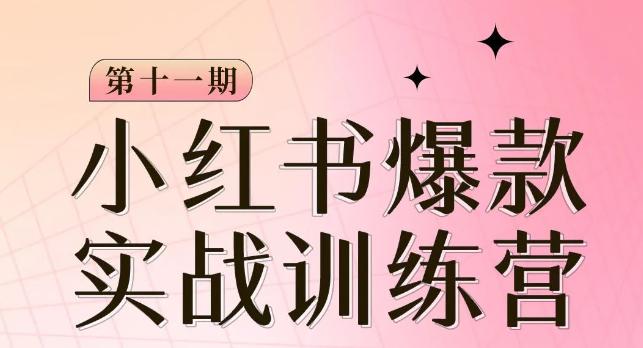 图片[1]-从零到一，掌握小红书爆款秘籍，，从定位到起号到变现让你轻松变身博主达人-淘金部落