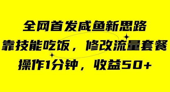 图片[1]-咸鱼冷门新玩法，靠“技能吃饭”，修改流量套餐，操作1分钟，收益50【揭秘】-淘金部落