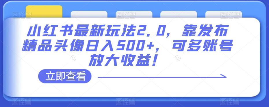 图片[1]-小红书最新玩法2.0：发布精品头像日入500+，多账号放大收益！-淘金部落