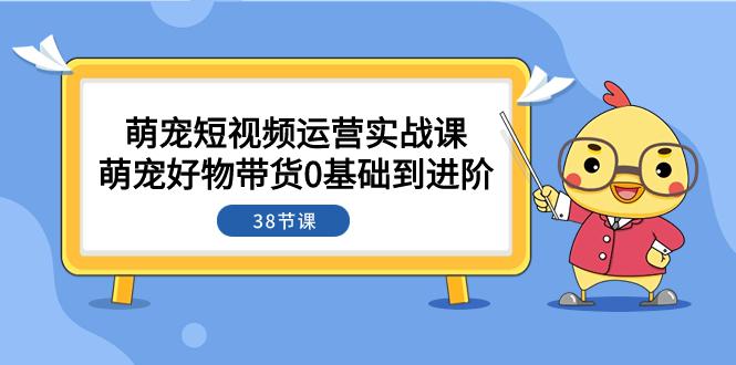 图片[1]-萌宠短视频攻略：从0基础到进阶，带你探索带货奥秘（38节课）-淘金部落