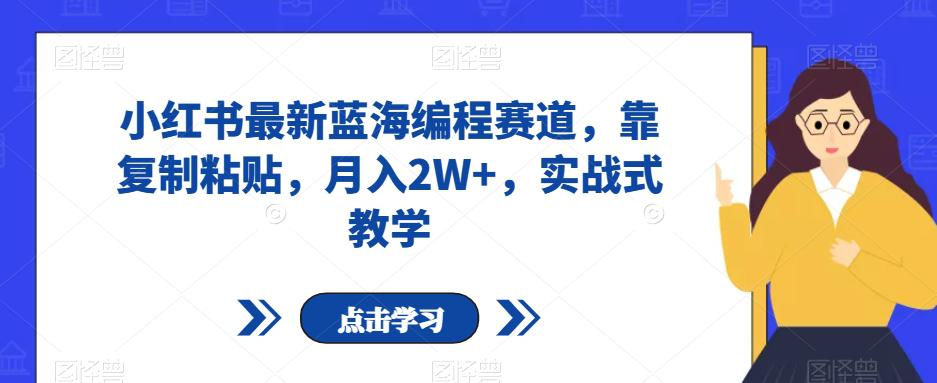 图片[1]-小红书最新蓝海编程赛道，靠复制粘贴，月入2W+，实战式教学【揭秘】-淘金部落