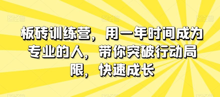 图片[1]-板砖训练营，用一年时间成为专业的人，带你突破行动局限，快速成长-淘金部落