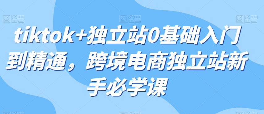 图片[1]-TIKTOK+独立站0基础入门到精通，跨境电商独立站新手必学课-淘金部落