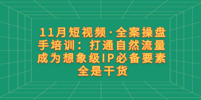 图片[1]-11月短视频·全案操盘手培训：打通自然流量 成为想象级IP必备要素 全是干货-淘金部落