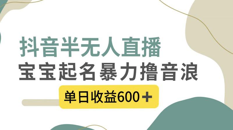 图片[1]-抖音半无人直播，宝宝起名，暴力撸音浪，单日收益600+-淘金部落