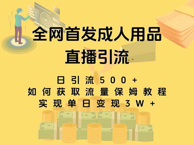 图片[1]-最新全网独创首发，成人用品直播引流获客暴力玩法，单日变现3w保姆级教程-淘金部落