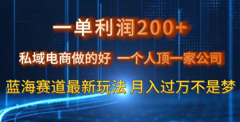 图片[1]-一单利润200私域电商做的好，一个人顶一家公司蓝海赛道最新玩法【揭秘】-淘金部落