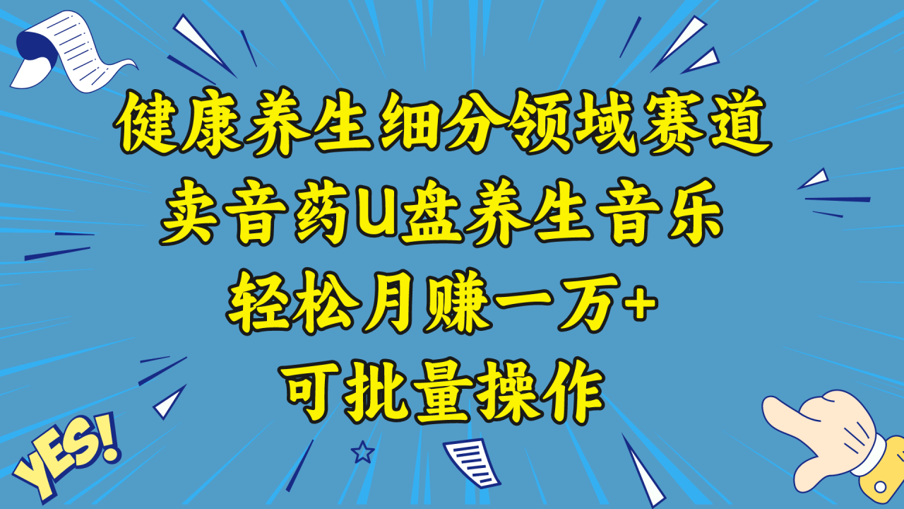 图片[1]-五行音乐养生：细分领域赛道卖音药U盘，打造轻松月赚一万+的健康养生项目-淘金部落